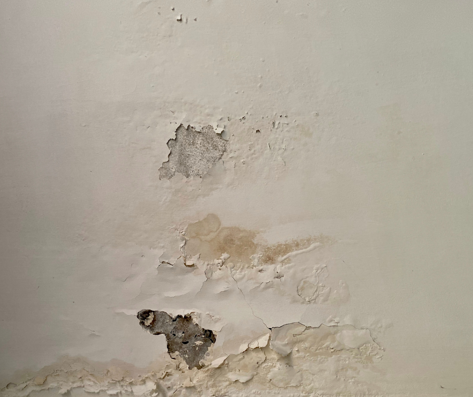 كشف تسربات المياه الرويس بجدة 0546670011